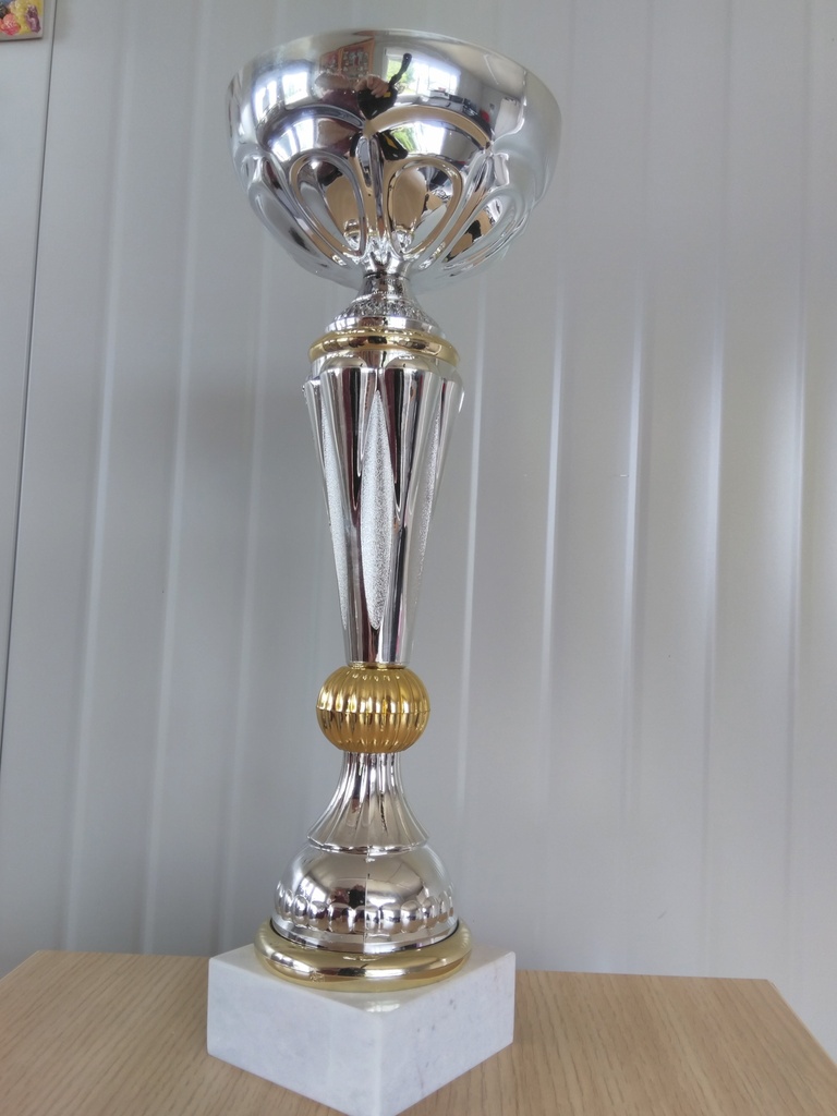 Coupe récompense T27cm