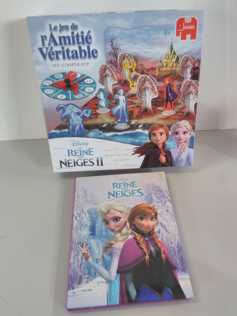 Jeu + livre "reine des neiges"