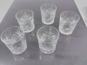 [R1G4] Lot de 5 verres à Whisky