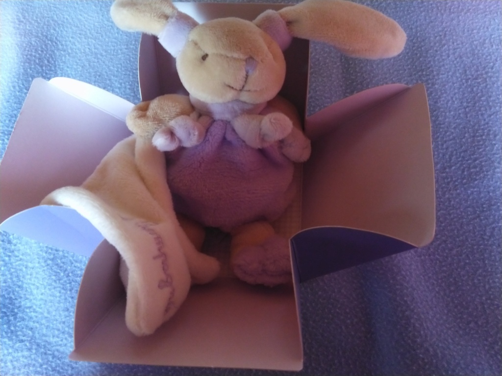 Doudou Pantin fruité lapin violet