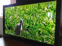 [Z4] Télé Plasma Samsung 127cm