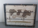 [Z3R4A6] Cadre déco en bois "vache"