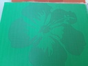 [Z3R4A2] Lot de 6 set de table vert