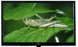 [Réfectoire] Télé Philips 81cm LCD